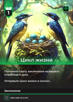 Цикл жизни